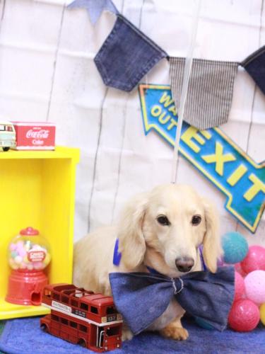 20230407シオンくん